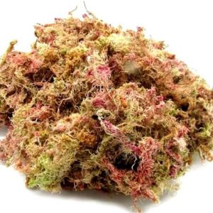 Musgo esfagno rosado para orquídeas